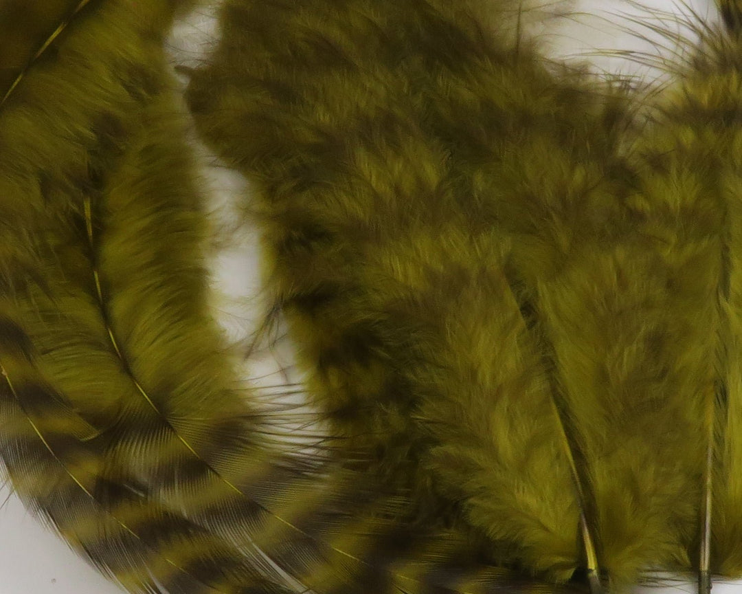 Hareline Grizzly Soft Hackle | Tailwaters Fly Fishing