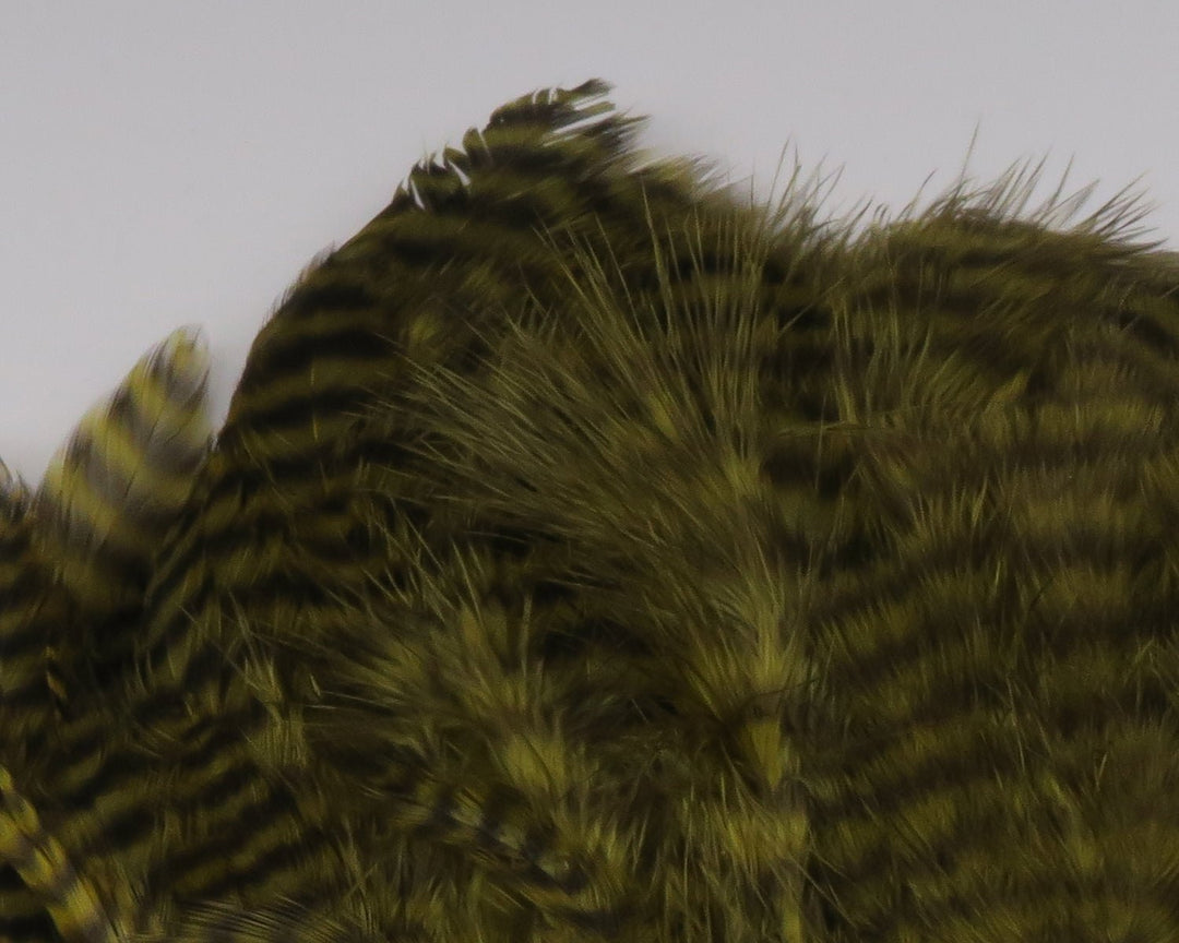 Hareline Grizzly Soft Hackle Marabou Patch