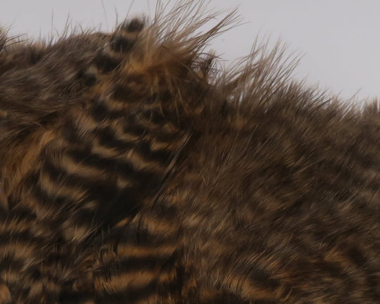 Hareline Grizzly Soft Hackle Marabou Patch | Tailwaters Fly Fishing
