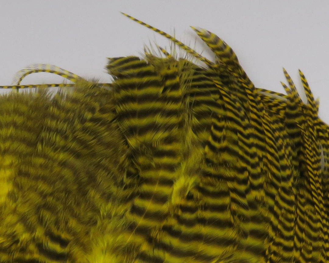 Hareline Grizzly Soft Hackle Marabou Patch | Tailwaters Fly Fishing