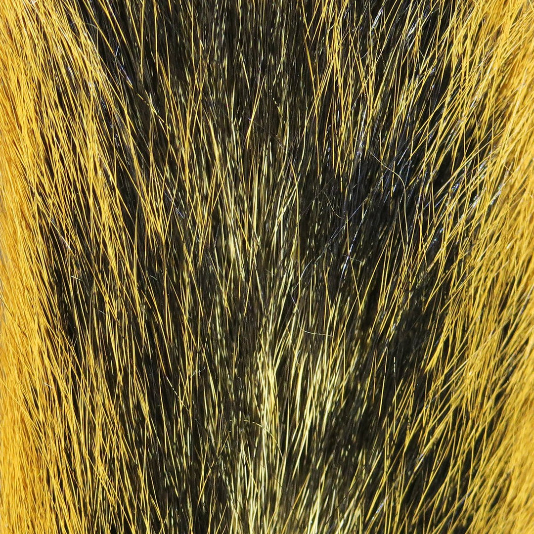 Hareline Fox Squirrel Tail #145 | Tailwaters Fly Fishing