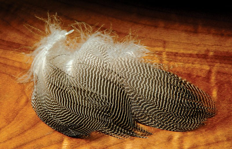 Hareline Gadwall Feathers | Tailwaters Fly Fishing