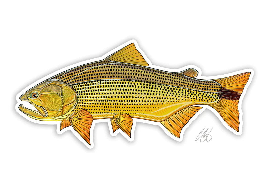 Casey Underwood Golden Dorado Decal | Tailwaters Fly Fishing