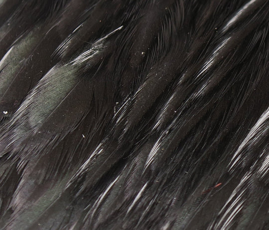 Hareline Hareline Hen Cape