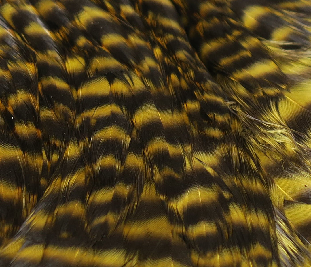 Hareline Hareline Hen Cape | Tailwaters Fly Fishing