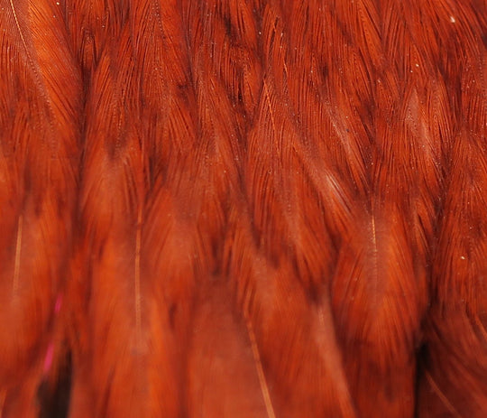 Hareline Hareline Hen Cape | Tailwaters Fly Fishing