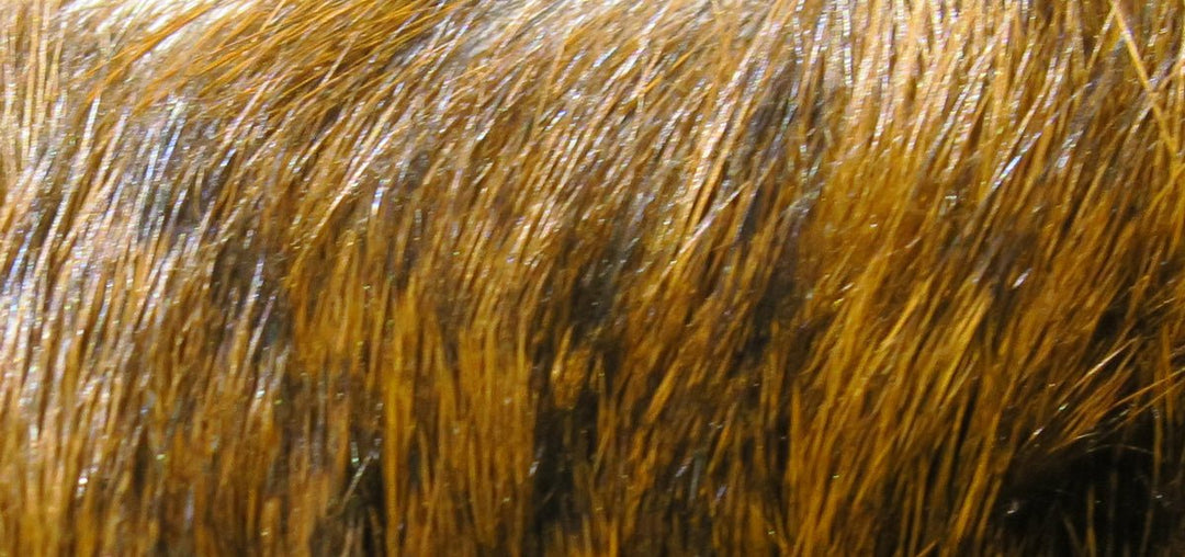 Hareline Dyed Grade #1 Hare's Mask | Tailwaters Fly Fishing