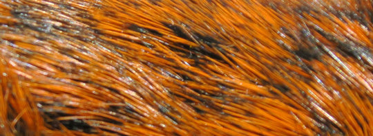 Hareline Dyed Grade #1 Hare's Mask | Tailwaters Fly Fishing