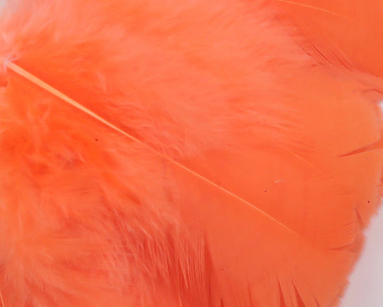 Hareline Intruder Feather Prop Hackle | Tailwaters Fly Fishing