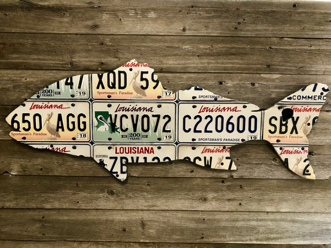Louisiana Black Drum License Plate Art | Tailwaters Fly Fishing