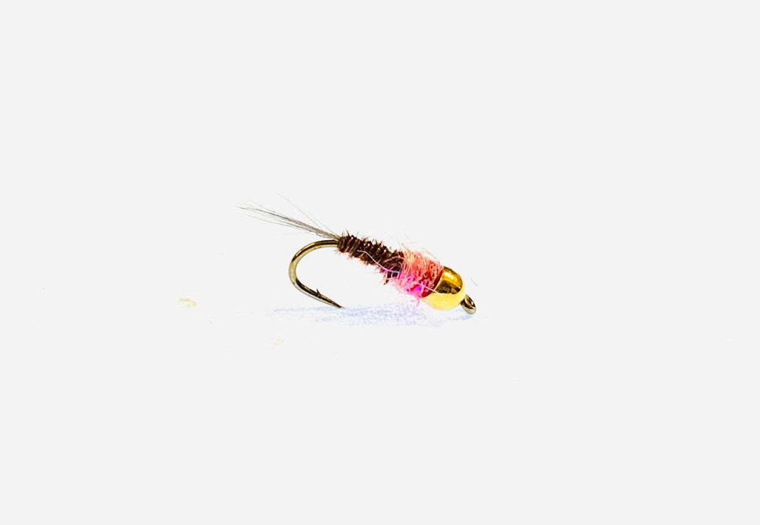 FRENCHIE TUNGSTEN BEAD | Tailwaters Fly Fishing