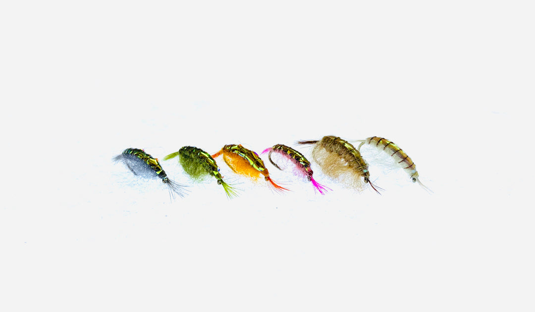 SCUD NYMPH | Tailwaters Fly Fishing
