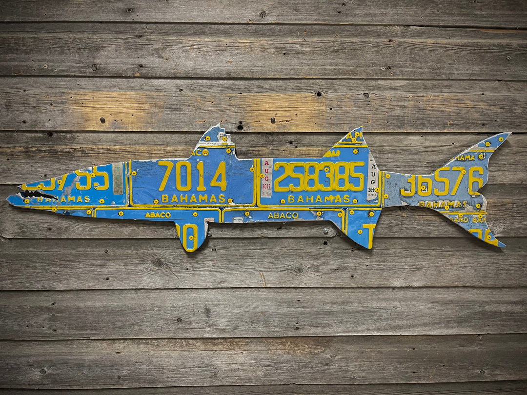 Bahamas Barracuda License Plate Art | Tailwaters Fly Fishing