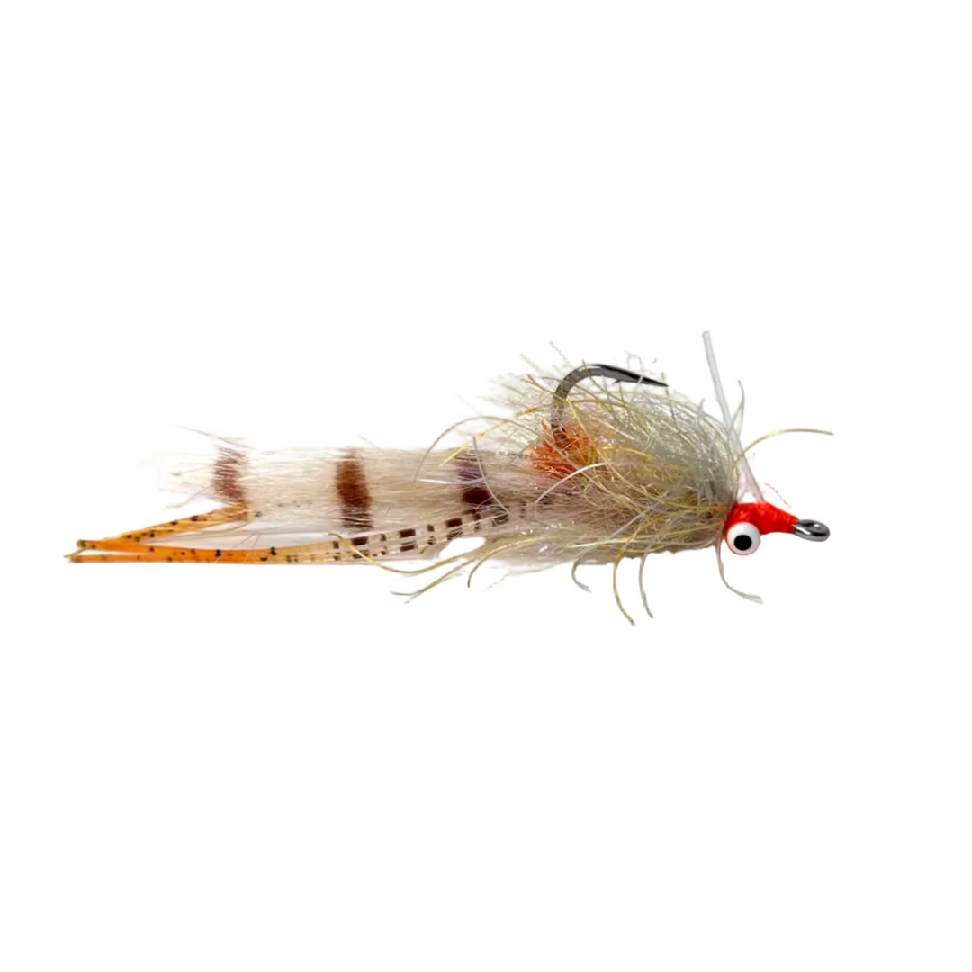 Tailwaters Flies Refish Craklin | Tailwaters Fly Fishing