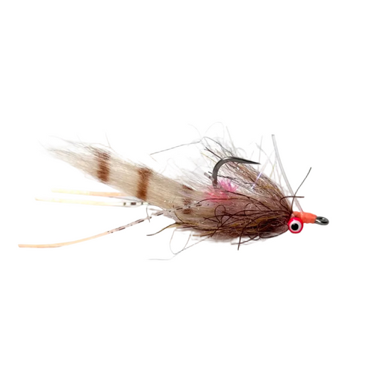 Tailwaters Flies Refish Craklin | Tailwaters Fly Fishing