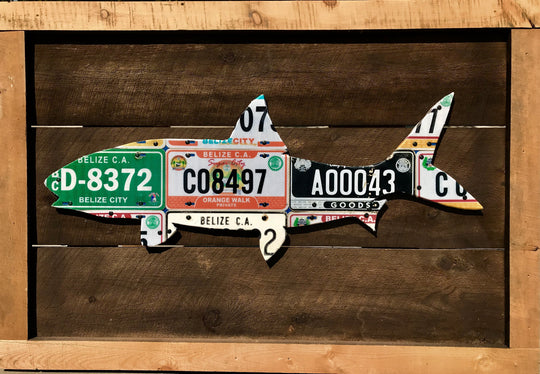 Belize Bonefish License Plate Art | Tailwaters Fly Fishing