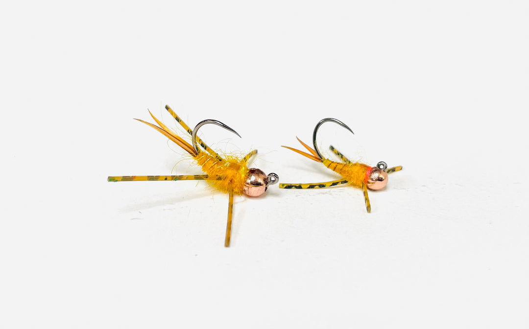 STONEFLY GOLDEN TUNGSTEN JIG | Tailwaters Fly Fishing
