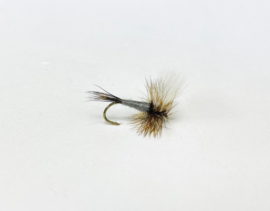 ADAMS WULFF | Tailwaters Fly Fishing