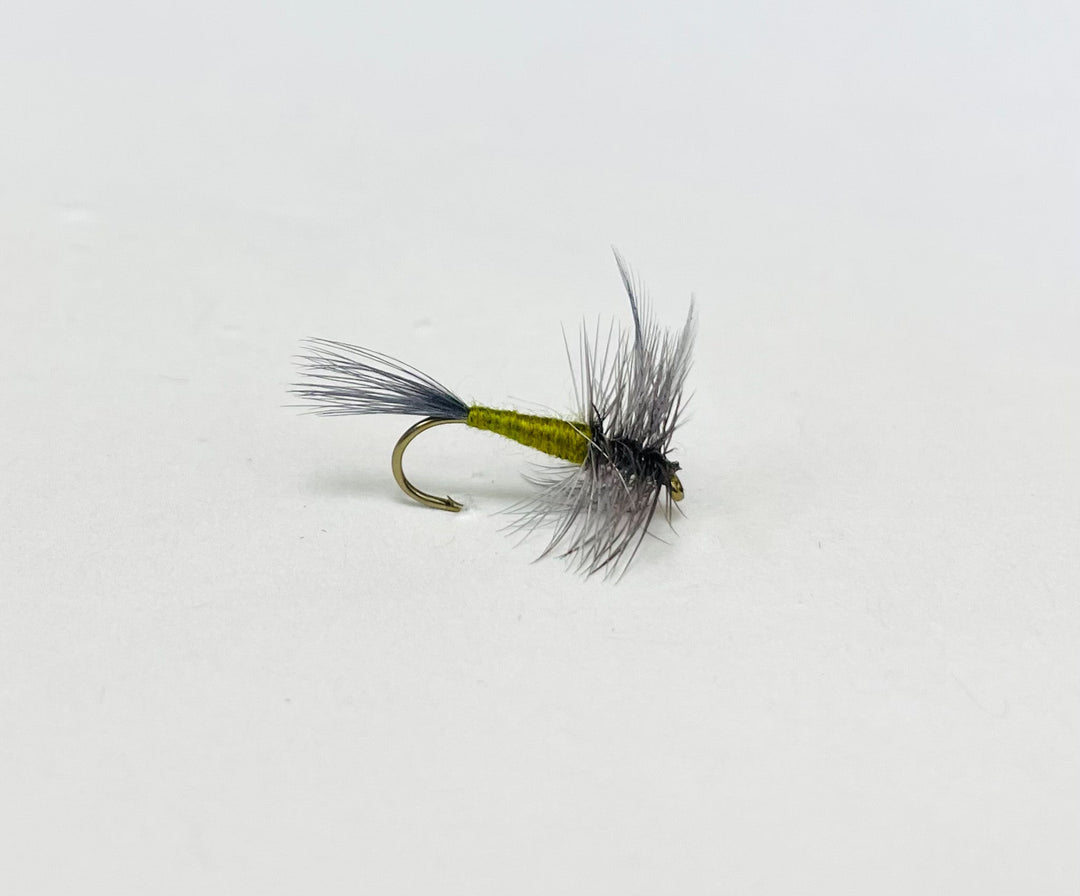 BLUE WING OLIVE (BWO) | Tailwaters Fly Fishing