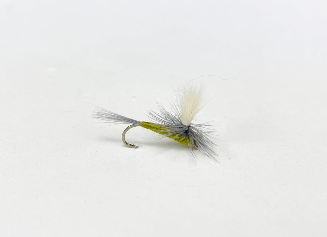 BLUE WING OLIVE PARACHUTE | Tailwaters Fly Fishing