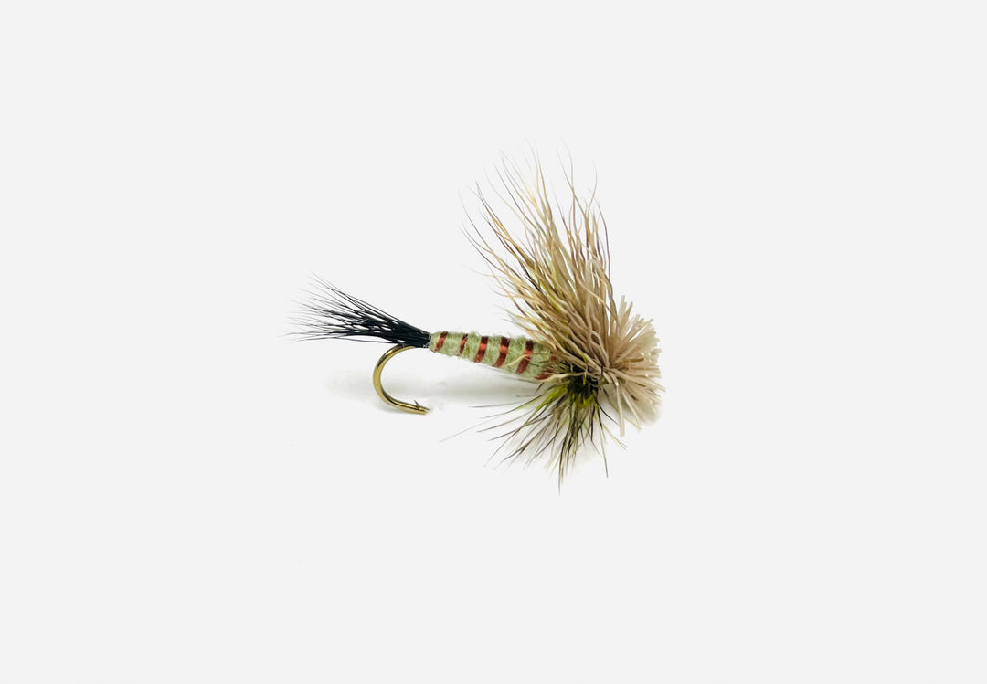 GREEN DRAKE EMERGER | Tailwaters Fly Fishing