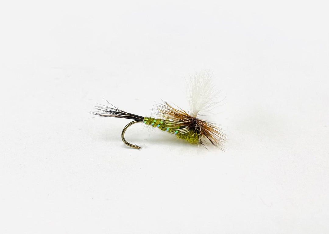 GREEN DRAKE SPLIT WING | Tailwaters Fly Fishing