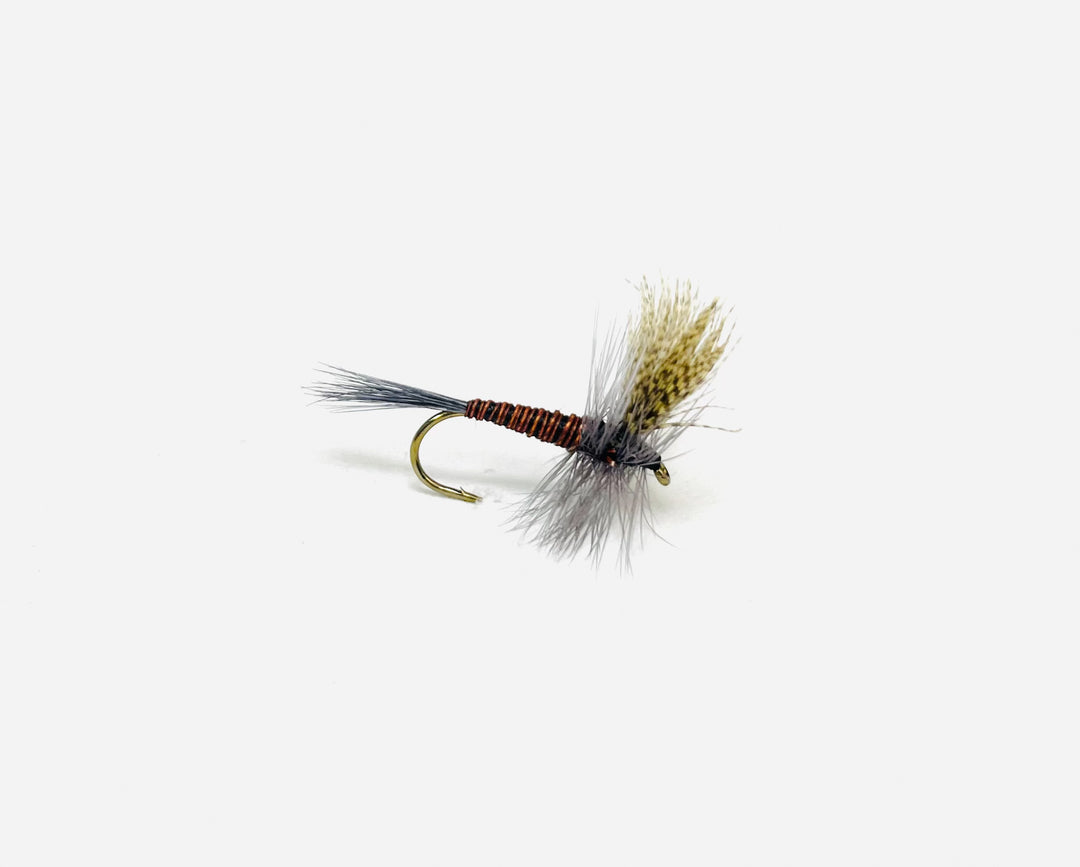RED QUILL | Tailwaters Fly Fishing