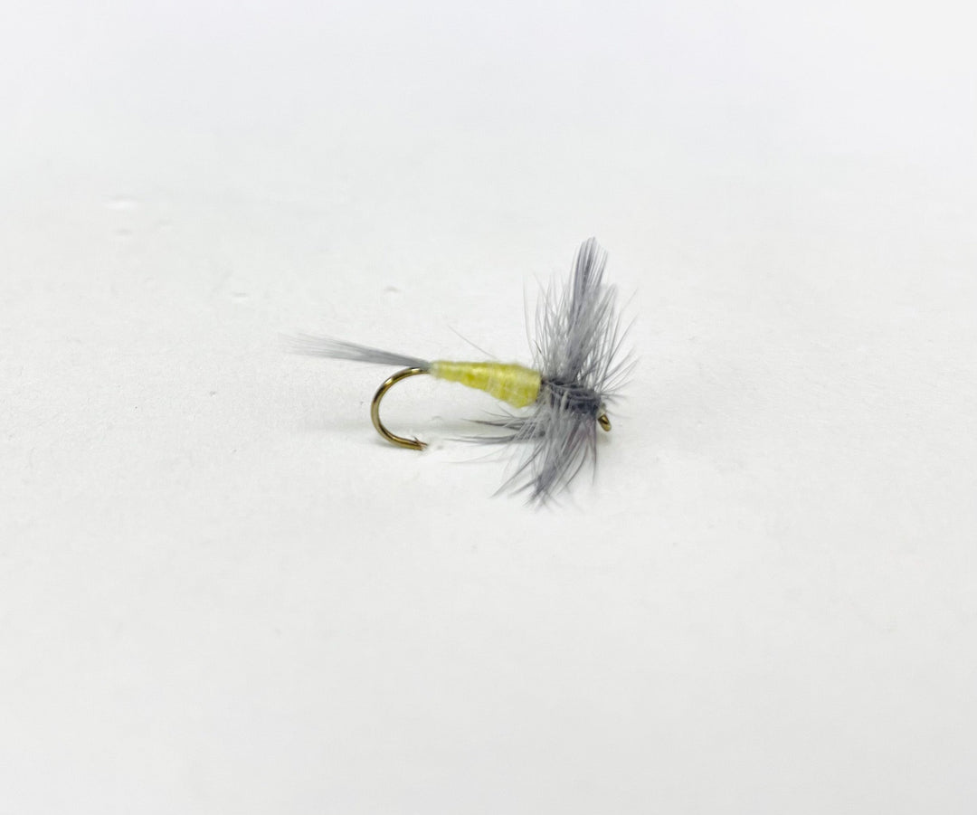 PALE MORNING DUN (PMD) | Tailwaters Fly Fishing