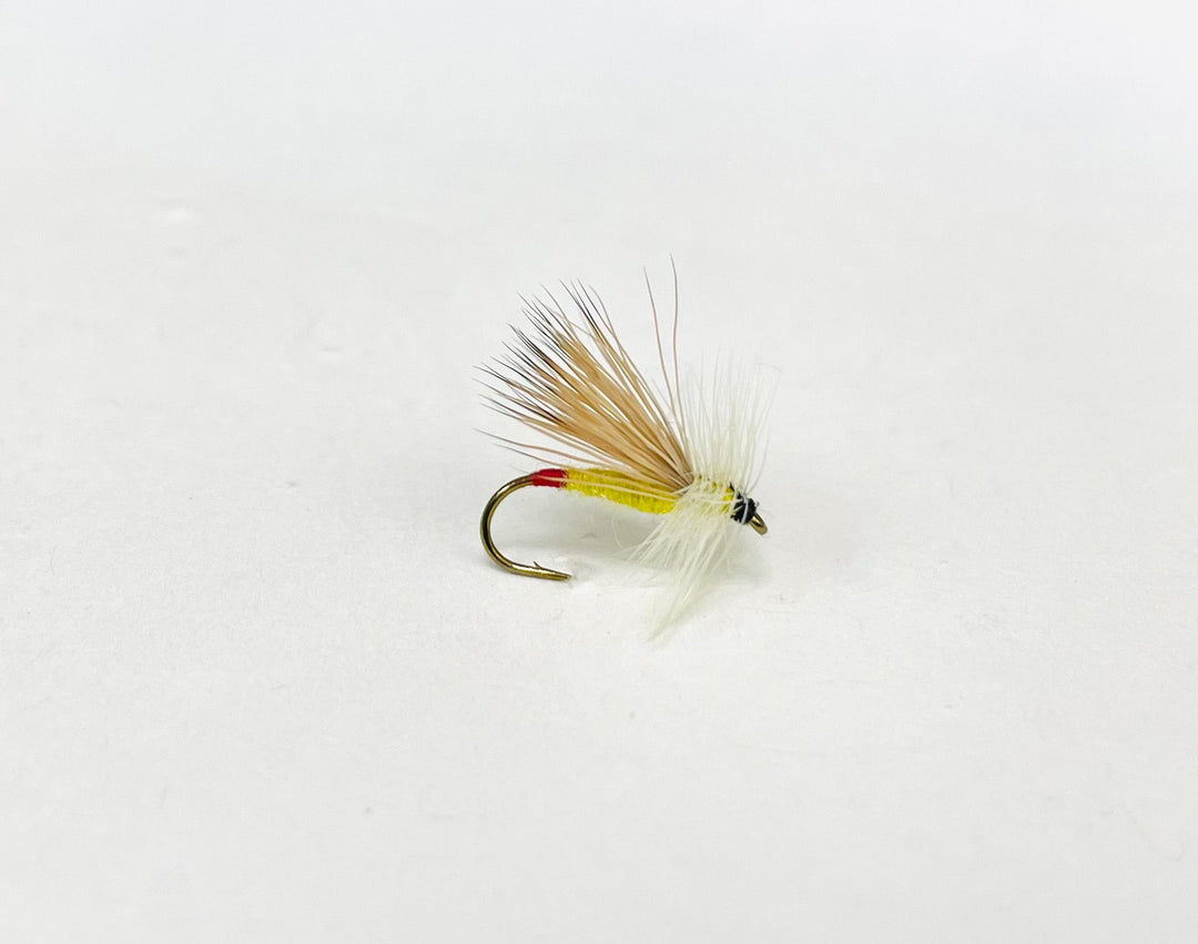 YELLOW SALLY | Tailwaters Fly Fishing