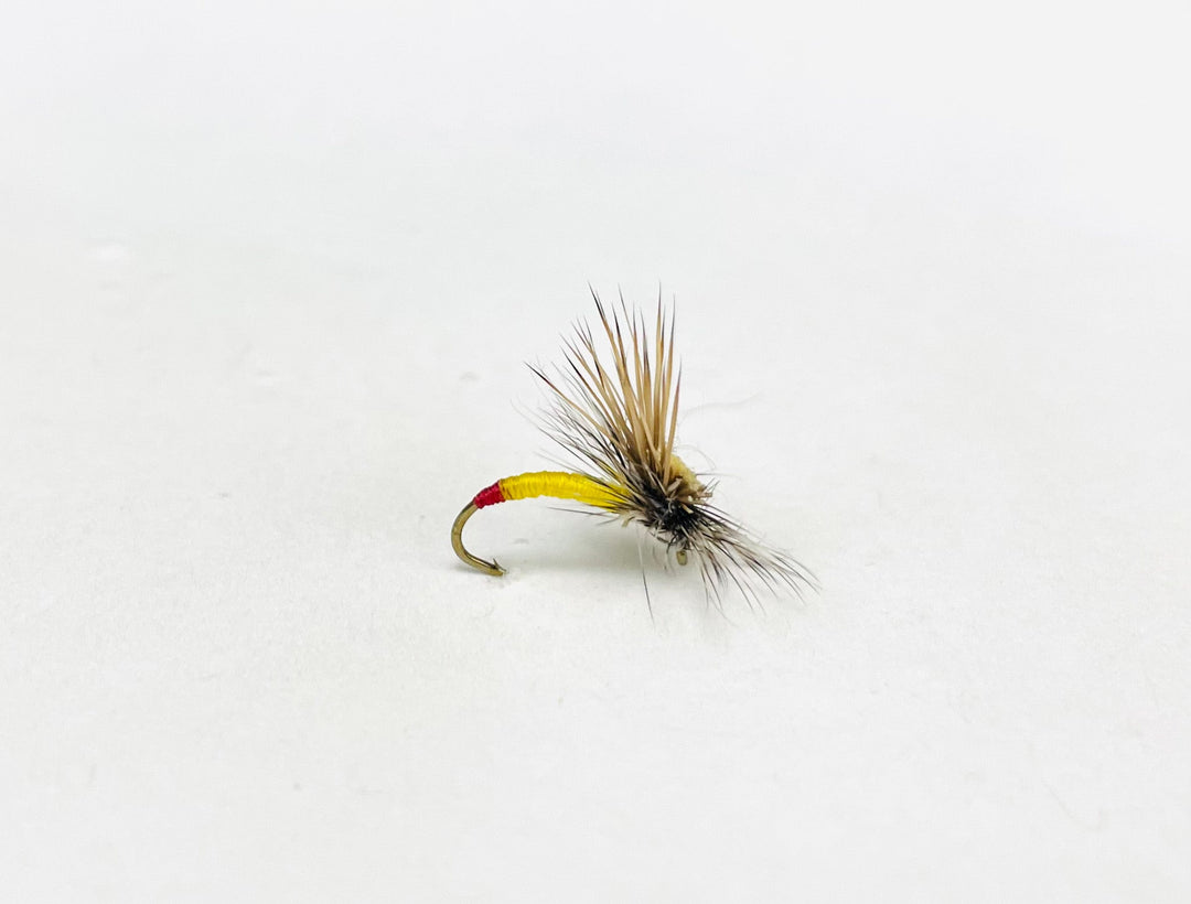 YELLOW SALLY HEAD LITE | Tailwaters Fly Fishing