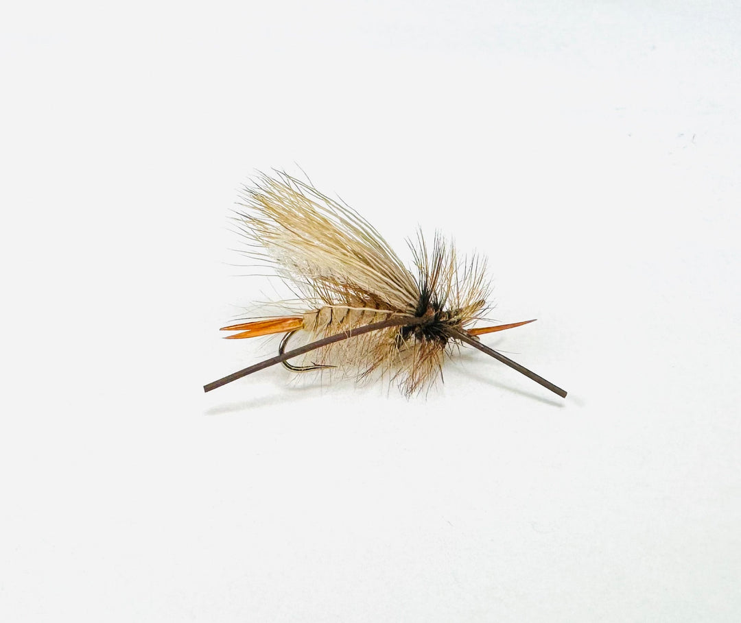 STIMULATOR W/LEGS | Tailwaters Fly Fishing
