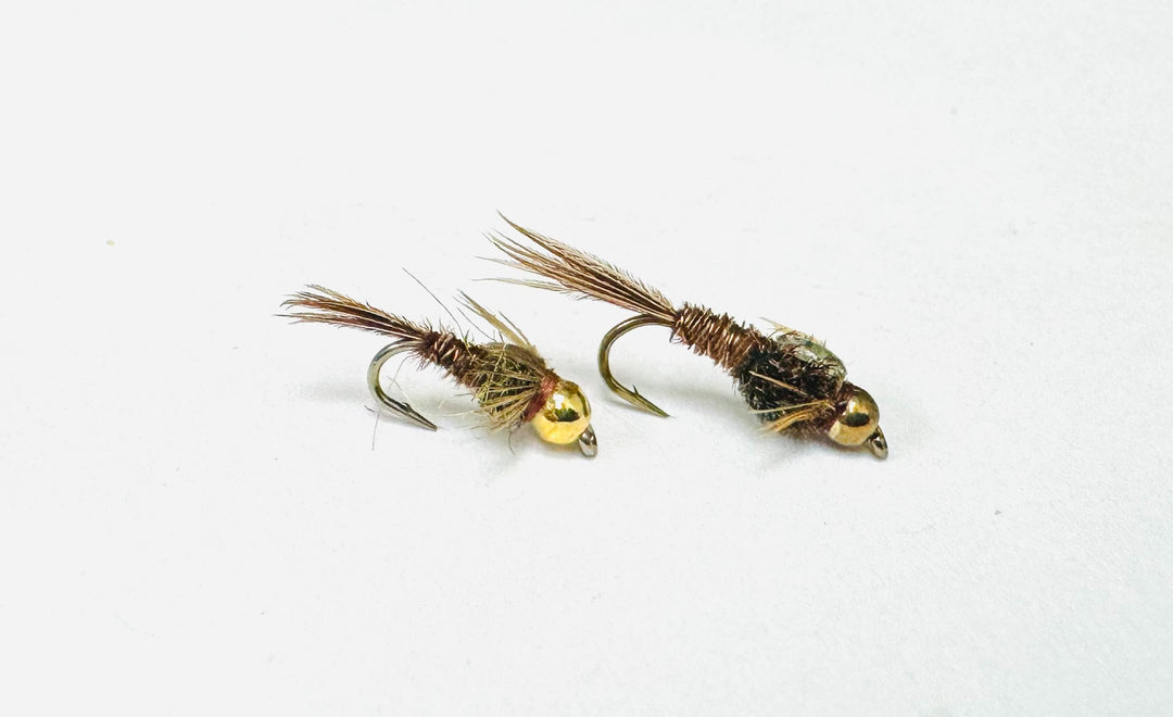 PHEASANT TAIL TUNGSTEN | Tailwaters Fly Fishing