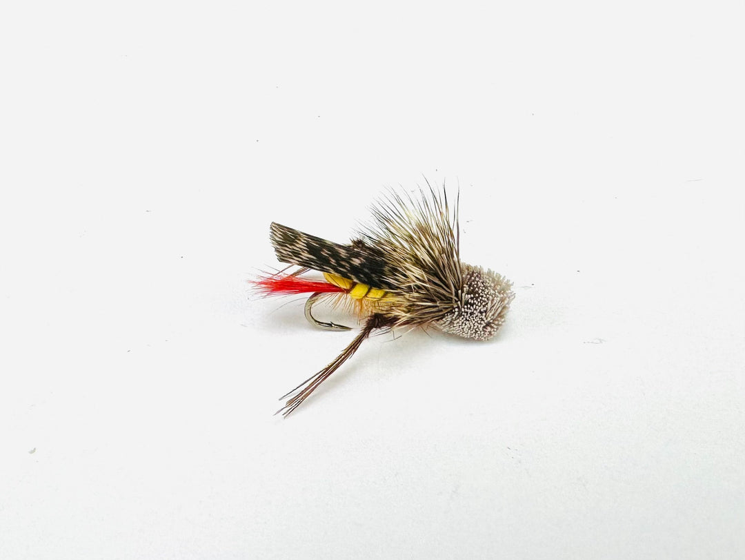 DAVE'S FOAM HOPPER | Tailwaters Fly Fishing
