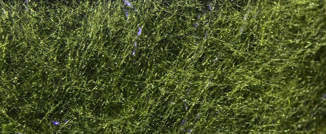 Hareline Fly Fish Food's Jr Bruiser Blend | Tailwaters Fly Fishing