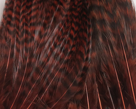 Hareline Bugger Hackle Patches | Tailwaters Fly Fishing
