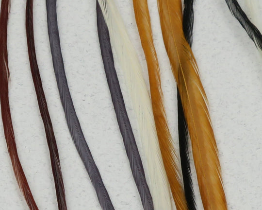 Hareline Keough's Saddle Value Pack | Tailwaters Fly Fishing
