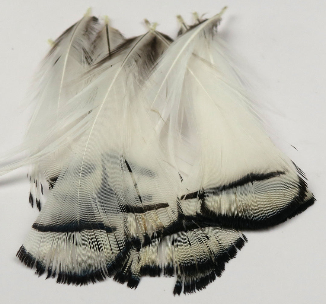 Hareline Lady Amherst Tippets