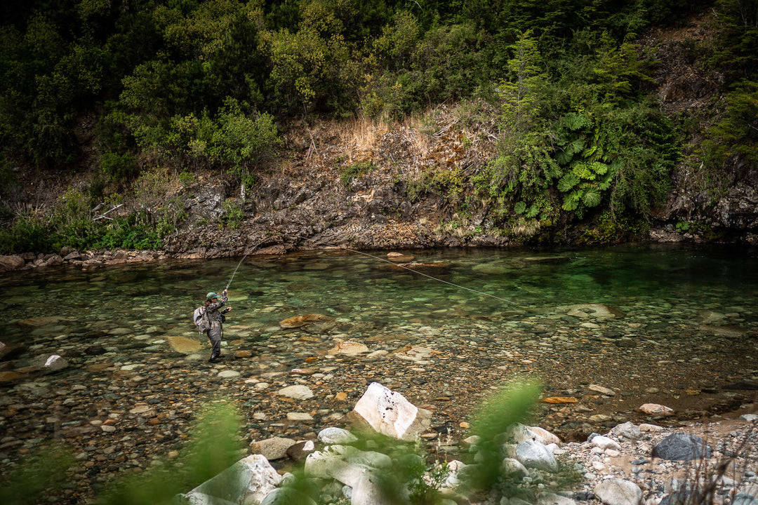 TFF 1 Hour Lesson | Tailwaters Fly Fishing