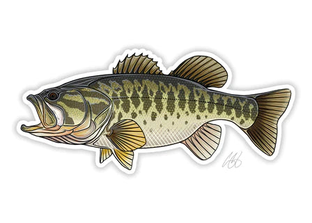 Casey Underwood Largemouth Bass Decal, Display
