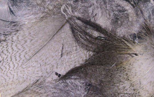 Hareline Mallard Flank | Tailwaters Fly Fishing