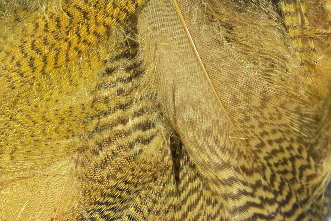 Hareline Mallard Flank | Tailwaters Fly Fishing