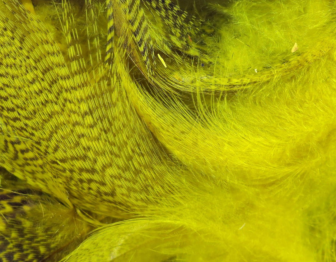 Hareline Mallard Flank | Tailwaters Fly Fishing