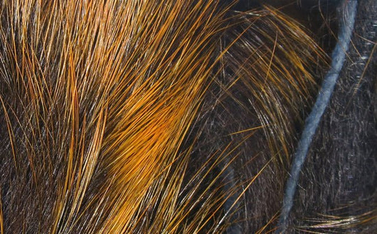 Hareline Magnum Frostip Rabbit Strips | Tailwaters Fly Fishing