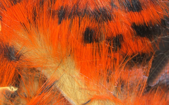 Hareline Micro Pulsator Strips | Tailwaters Fly Fishing