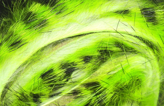 Hareline Micro Pulsator Strips | Tailwaters Fly Fishing