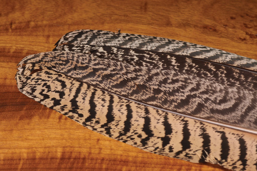 Hareline Mottled Peacock Wing Quill Pair | Tailwaters Fly Fishing