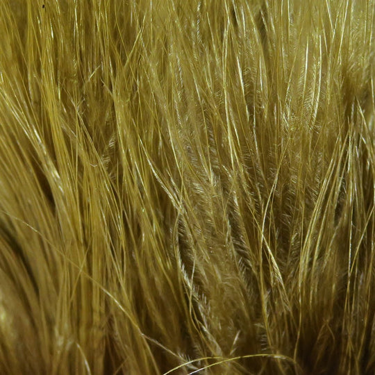 Hareline Marabou Blood Quills | Tailwaters Fly Fishing