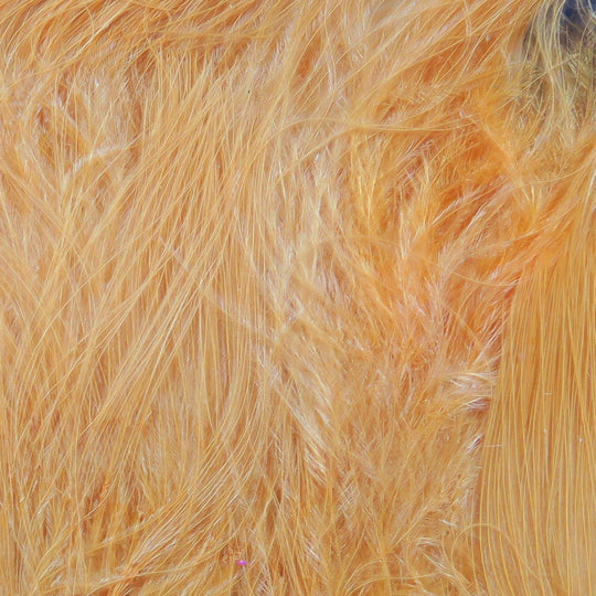 Hareline Marabou Blood Quills | Tailwaters Fly Fishing