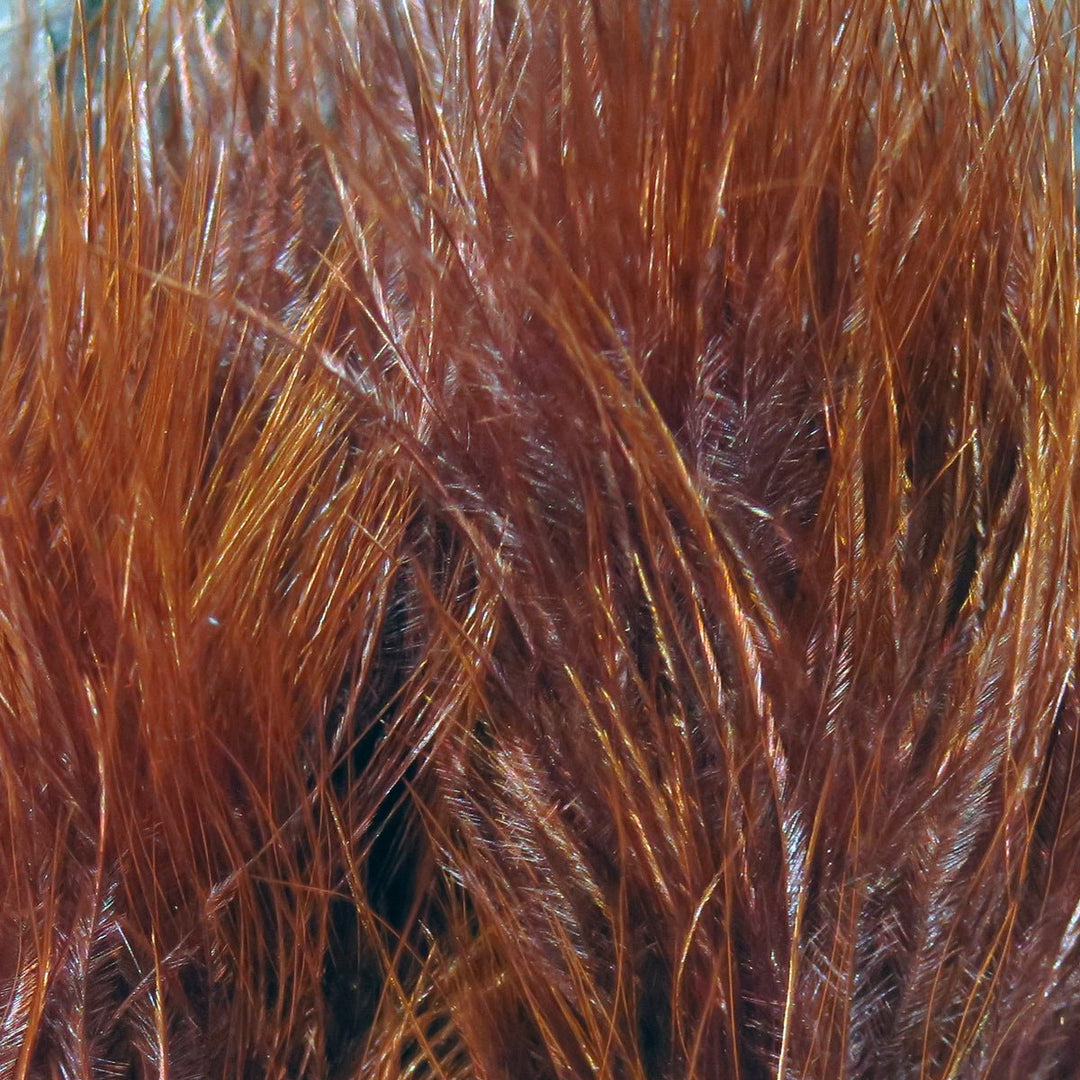 Hareline Marabou Blood Quills | Tailwaters Fly Fishing