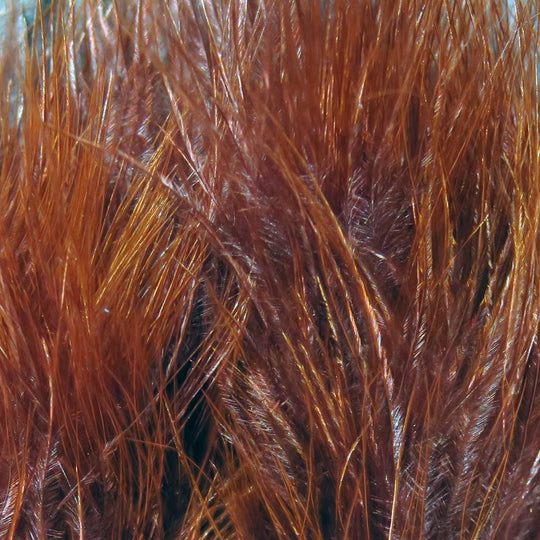 Hareline Marabou Blood Quills | Tailwaters Fly Fishing